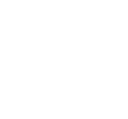 Excel Courses white logo version
